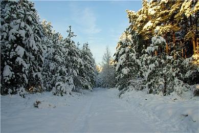 《猎天使魔女3》贝姐英文版配音演员正式换人